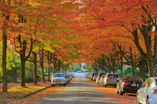canada-autumn.jpg